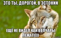 это ты, дорогой, в эстонии ещё не видел как волчары лежат))))