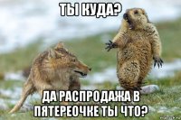 ты куда? да распродажа в пятереочке ты что?