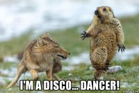  i'm a disco... dancer!