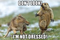 don't look! i'm not dressed!
