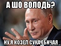 а шо володь? ну я козел сука ебичая