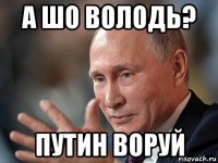 а шо володь? путин воруй