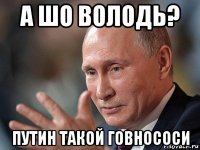 а шо володь? путин такой говнососи