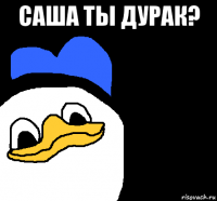 саша ты дурак? 