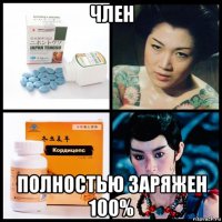 член полностью заряжен 100%