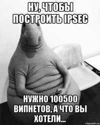 ну, чтобы построить ipsec нужно 100500 випнетов, а что вы хотели...