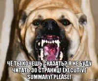  чё ты хочешь сказать? я не буду читать 30 страниц! executive summary! please!