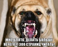  мне, блять, делать больше нечего?! 300 страниц читать!