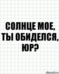 Солнце мое, ты обиделся, юр?