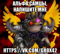 альфа самцы, напишите мне https://vk.com/grox42