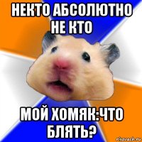 некто абсолютно не кто мой хомяк:что блять?