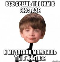 все срешь ты там в экстазе и медленно мямлишь ты в унитазе