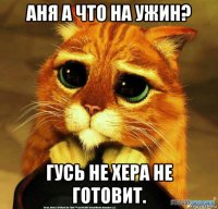 аня а что на ужин? гусь не хера не готовит.