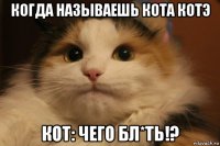 когда называешь кота котэ кот: чего бл*ть!?