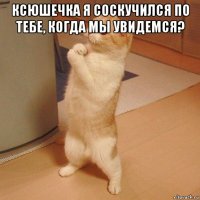 ксюшечка я соскучился по тебе, когда мы увидемся? 