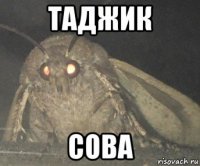 таджик сова