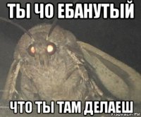 ты чо ебанутый что ты там делаеш