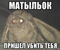 матыльок пришёл убить тебя