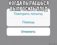 когда пытаешься выпросить плед 