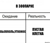 в зоопарке выхухоль,утконос пустая клетка