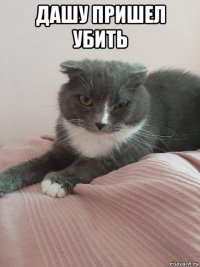 дашу пришел убить 