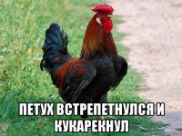  петух встрепетнулся и кукарекнул