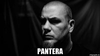  pantera