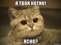 я твой котик! ясно?