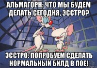 альмагорн: что мы будем делать сегодня, эсстро? эсстро: попробуем сделать нормальный билд в пое!