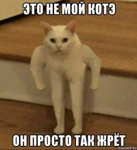 это не мой котэ он просто так жрёт