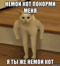 немой кот покорми меня я ты же немой кот