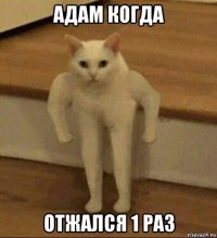 адам когда отжался 1 раз