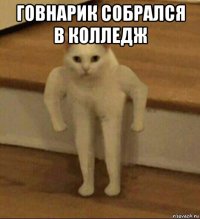 говнарик собрался в колледж 