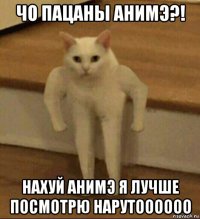 чо пацаны анимэ?! нахуй анимэ я лучше посмотрю нарутоооооо