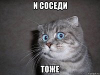 и соседи тоже