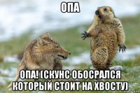 опа опа! (скунс обосрался который стоит на хвосту)