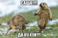 саша!!!! да ну хуй!!!