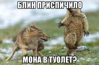 блин приспичило мона в туолет?