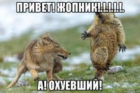 привет! жопник!.!.!.!.!. а! охуевший!