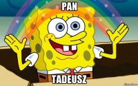 pan tadeusz