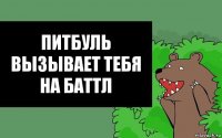 Питбуль вызывает тебя на баттл