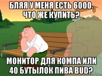 бляя у меня есть 6000. что же купить? монитор для компа или 40 бутылок пива bud?