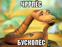 чррпёс бускопёс