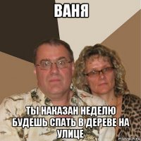 ваня ты наказан неделю будешь спать в дереве на улице