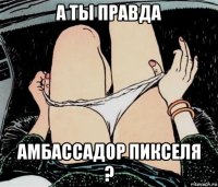 а ты правда амбассадор пикселя ?