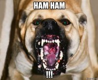 ham ham !!!