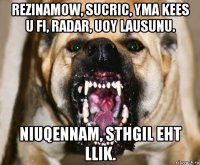 rezinamow, sucric, yma kees u fi, radar, uoy lausunu. niuqennam, sthgil eht llik.