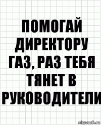 Помогай директору газ, раз тебя тянет в руководители