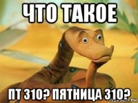 что такое пт 310? пятница 310?