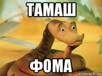 тамаш фома